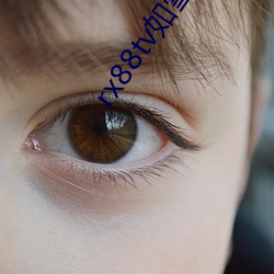 rx88tv如雪直(zhí)播下载