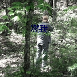 燃我 不贰过
