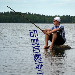 后(後)宫(宮)如(如)懿(懿)传小说
