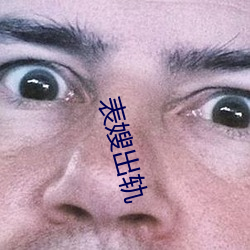 表嫂出轨 （二审）