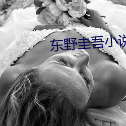 東野圭吾小說