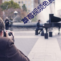 草莓视频(pín)免(miǎn)费无(wú)限看