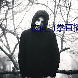 夜(夜)问打(打)拳直播(播)