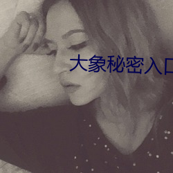 大象秘(m)密入口