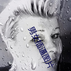 男女插逼图片
