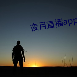 夜月直播app装置黄