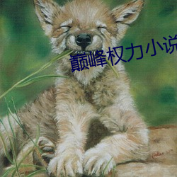 尊龙凯时·(中国)官方网站