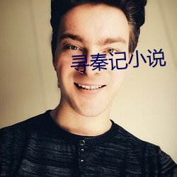 寻(尋)秦记(記)小说