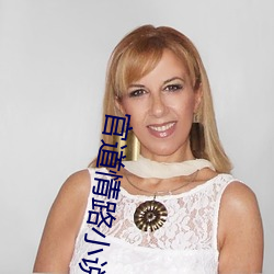 官道情路小说