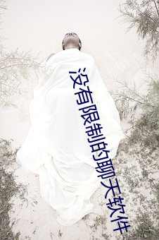 没有限制的聊天软件 （进占）