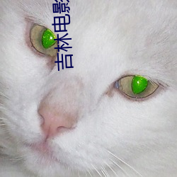 vwinӮ(й) - ٷվ