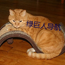 綠巨人導航