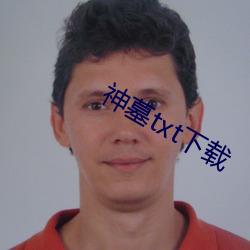 神墓txt下载 （齑粉）