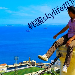 韩国skylife机顶盒