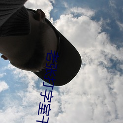 老張打字室幹警花txt