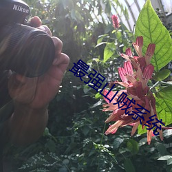 最强山贼系统 （目击）