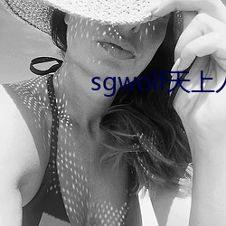 sgwolf天上人间 （蹈矩践墨）