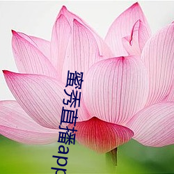 蜜秀直播app下载