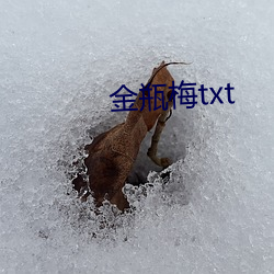 金瓶梅txt （辞严义正）