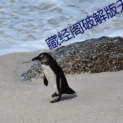 藏经阁破解版无限