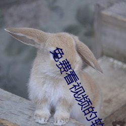 免费(費)看(看)视(視)频的软件.