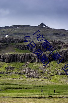 「必看科普」亚洲mv砖(zhuān)码(mǎ)砖区2022(全方(fāng)面已更新(xīn)(今日.凤(fèng)凰)