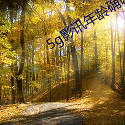 5g影訊年齡確認大象