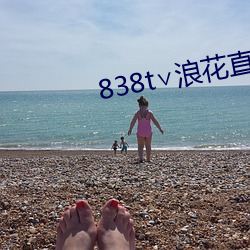 838t∨浪(làng)花直播app