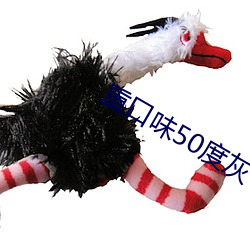 重口味50度灰