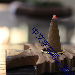中文字幕导(dǎo)入是乱码