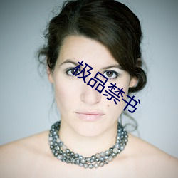 极品(pǐn)禁书