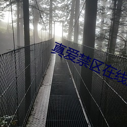 真愛禁區在線觀看
