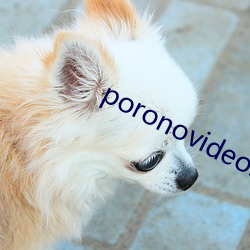 poronovideos少妇 （灵便）