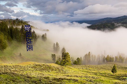 超级(級)战医