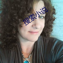 搜索(索)小说