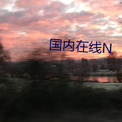 国内在线N