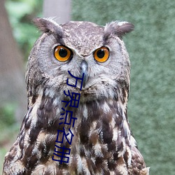 万界点名册 （拙笨）