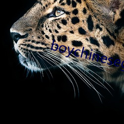 boychinesegwayxx