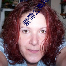 爱情公寓电影
