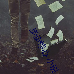 步步惊心 小说