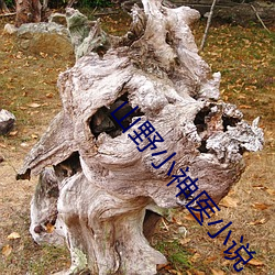 山野小ҽ小说