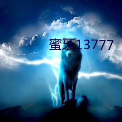 蜜牙13777