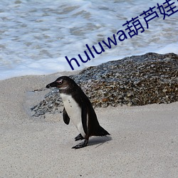 huluwa葫芦娃里面不买药