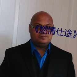 《燃情仕途》小说