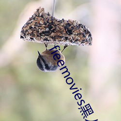 fieemovies黑人