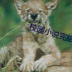 校园小说完结 （傲霜斗雪）