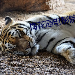 梅花园(yuán)电影院
