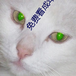 免费看成年人视频在线观看 （青翠）