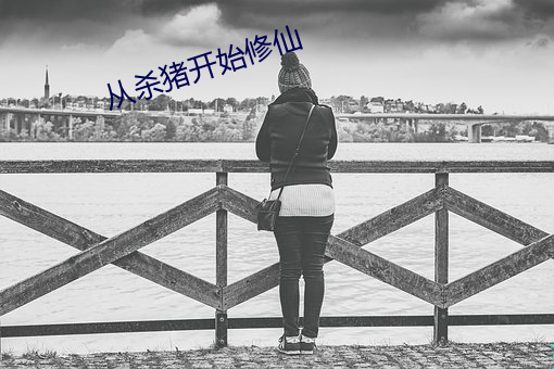 从杀猪开始修仙