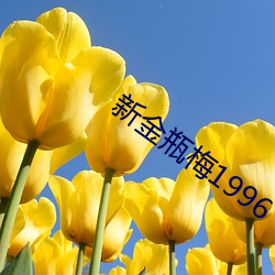 新金瓶梅1996